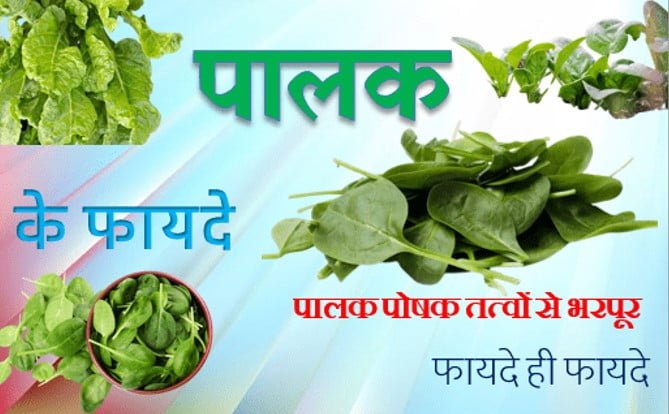 Benefits of Spinach (Palak)